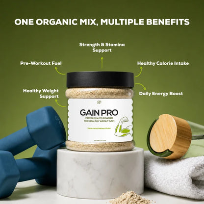 Gain Pro – Premium Nuts Powder for Healthy Weight Gain