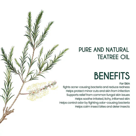 TEA TREE OIL - 50ML